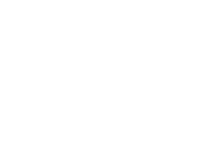 創意與策略支持